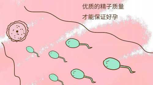 宁波代生,香港Y-DNA染色体基因检测是怎么测出宝宝性别的？_供卵代生孩子_医院