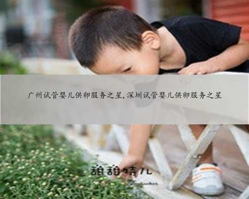 广州试管婴儿供卵服务之星,深圳试管婴儿供卵服务之星