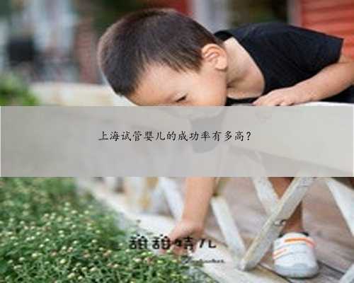 上海试管婴儿的成功率有多高？