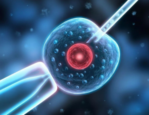 供卵助孕包男孩_供卵试管联系方式,绵阳做供卵三代试管婴儿要多少钱？夫妻做