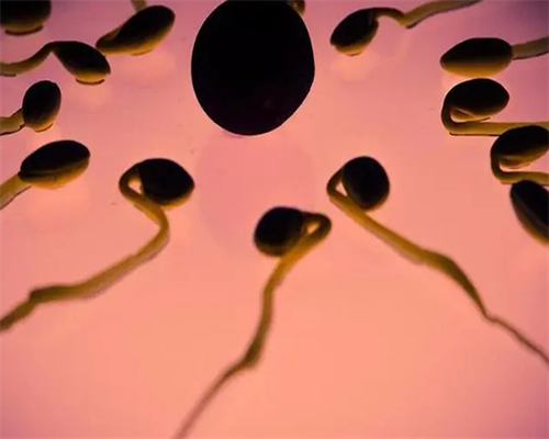 河北助孕助孕机构 真实助孕案例供你参考