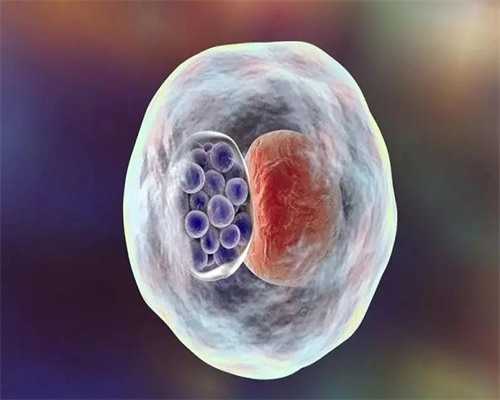 供卵安全吗,借卵生子,做天水助孕供卵代怀婴儿如何确定成功助孕