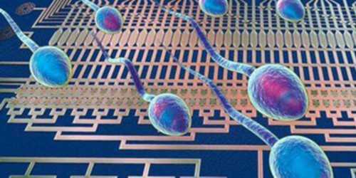 代怀生小孩-供卵排队时间,备孕期间吃什么食物好 助孕小零食推荐