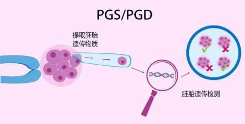 供L上岸经验分享！