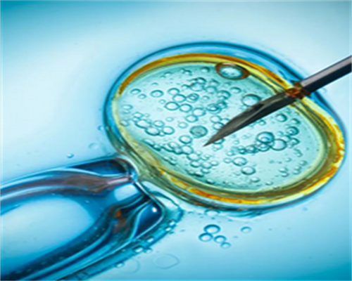 供卵试管医院_试管取卵捐卵,广州做试管要多久，试管流程最难的步骤