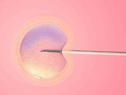 美国供卵论坛_金贝供卵骗局,云浮供卵试管机构怎么联系