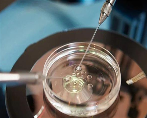 北京做试管婴儿的价格是多少