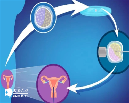 贵阳助孕中介-贵阳助孕男孩机构