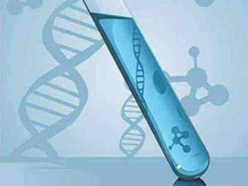 -dnf单机二觉版本-靠谱代怀机构-代怀生子价格-代生收费多少-供卵试管网_代怀代