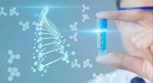 沈阳正规的助孕公司专家推荐！沈阳助孕 神州中泰助孕中心！