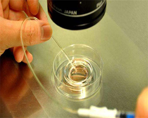 选性别包生,儋州哪家公立医院有供卵代怀婴儿助孕技术？