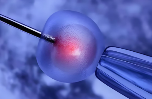 试管三代的苦_赴泰试管费用,试管婴儿医生广州，试管婴儿过程痛苦吗