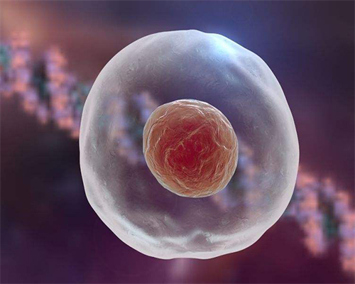 国内供卵试管婴儿_选择供卵试管,淮北哪里能供卵做三代试管？