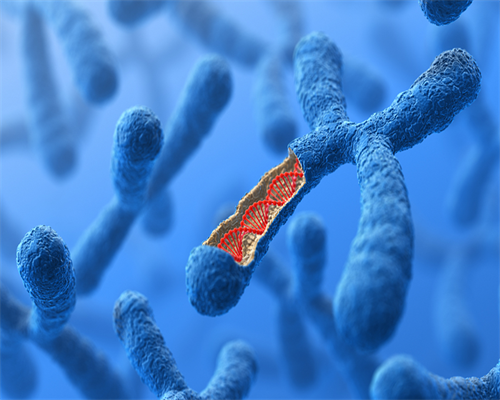 正规助孕,泰国供卵代怀婴儿价格高？助孕失败该怎么办？