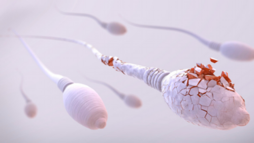 青岛正规助孕公司受骗！青岛助孕优贝贝助孕医生地址！