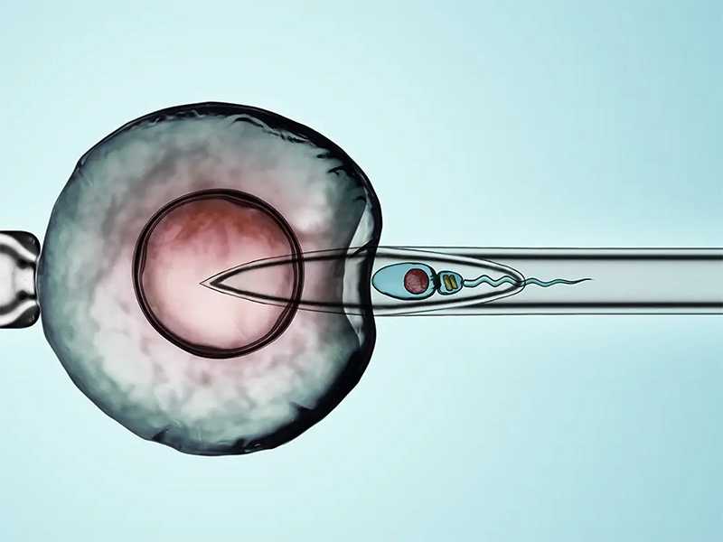 代孕卵子公司_玉溪做试管婴儿助孕要花多少钱哪个医院可以做？